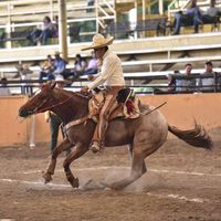 rancho_la_corporacion