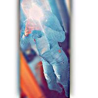 lhaevee24