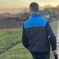 оригинальный звук