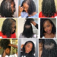 atelie_africana_africana