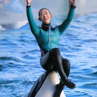 dolphinshow61