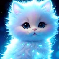faridalastar7