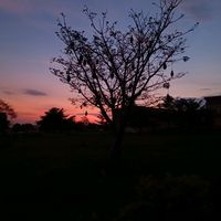 might_be_feetal