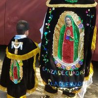 albertomata2011