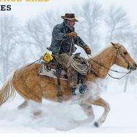 castro_horsemanship