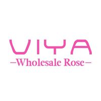 viyahairrose