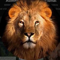 alimentodiariodevocional