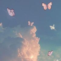 aesthetic.vibessss02