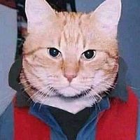 vir.0.1