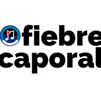 fiebrecaporal