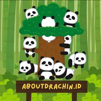 aboutdrachin.id