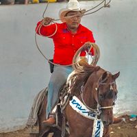 sonido original
