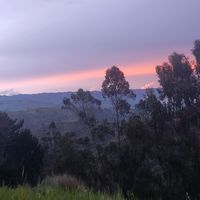 biancarvca