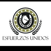 cuadraesfuerzosunidos_15