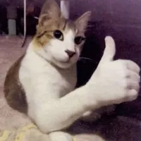 original sound - dovey.lovey619