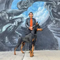 original sound - aldo_del_lobo