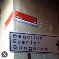 orijinal ses