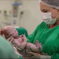celebritymidwifebackup