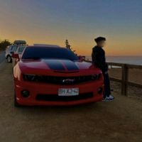 mattzon1