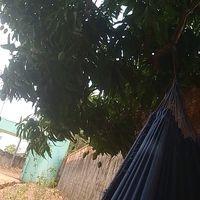 augusto.pereira632