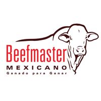 beefmaster.mexico
