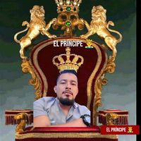 teamprincipe502