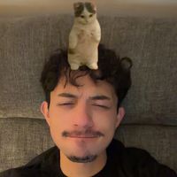 jozeexd