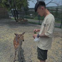原聲 - 小進