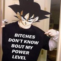 fw_ssj4
