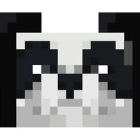 panda_university_