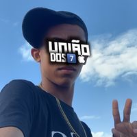 neto_dann
