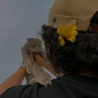 original sound - amraev29