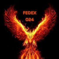_fedex024