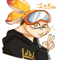 inkso_
