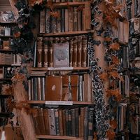 book04_sky