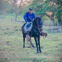sonido original