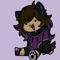 sneakyshadowwolf