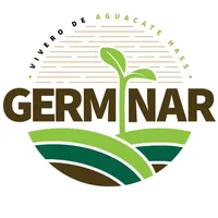 original sound - viverogerminar