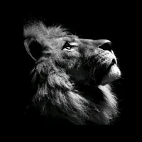 original sound - motivacaodiaria265