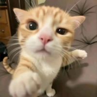 original sound - Thankful!