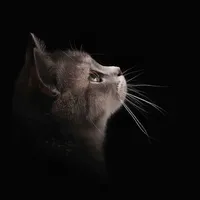 original sound - melvinyaxcal8