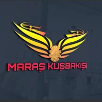 original sound - maraskusbakisi