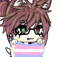 maxeltranformer