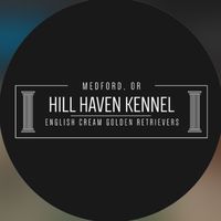 hillhavenkennel