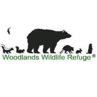 wildrehab