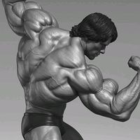 dicasdetreinofit