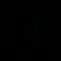 LAS PAPAYAS DICEN NOSE