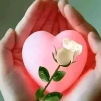 original sound - useme065