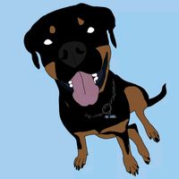 nayla_rott