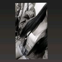 najhely_41